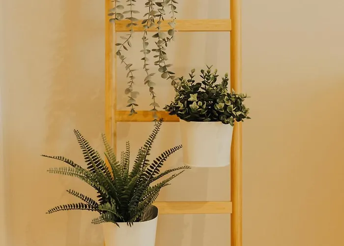 Apartment Thermae Retreat *